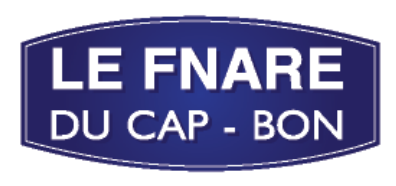 Logo Fnare